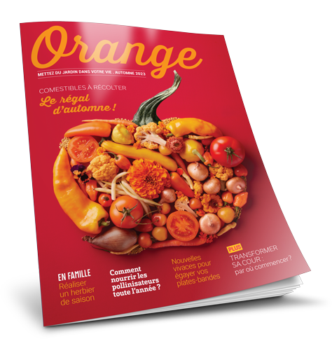 Magazine Orange 2023