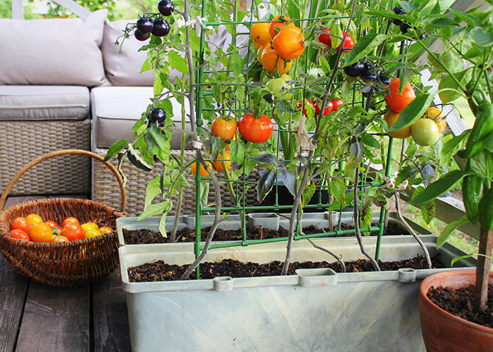 Pots Et Contenants De Jardinage Du Jardin Dans Ma Vie