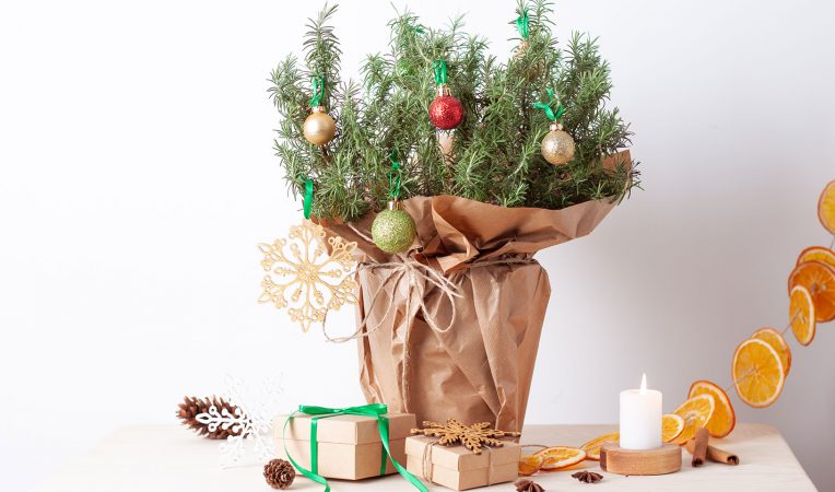Sapin De Noël Mural En Métal Noir, 61 Cm - Avec 36 Crochets, Support à Décorations, écologique Et Facile à Assembler