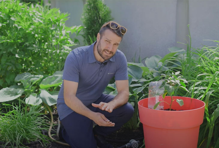 Capsule vidéo qui présente des solutions pour économiser l'eau au jardin et au potager
