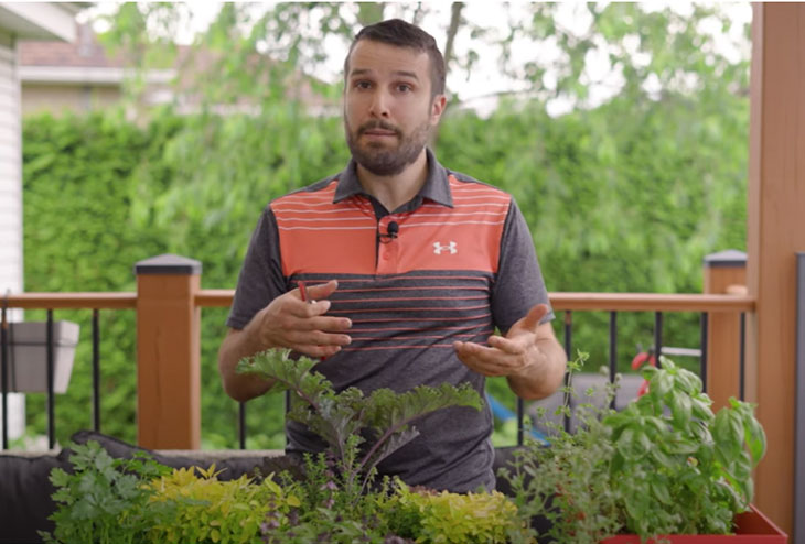 Capsule vidéo qui explique comment récolter et conserver ses fines herbes