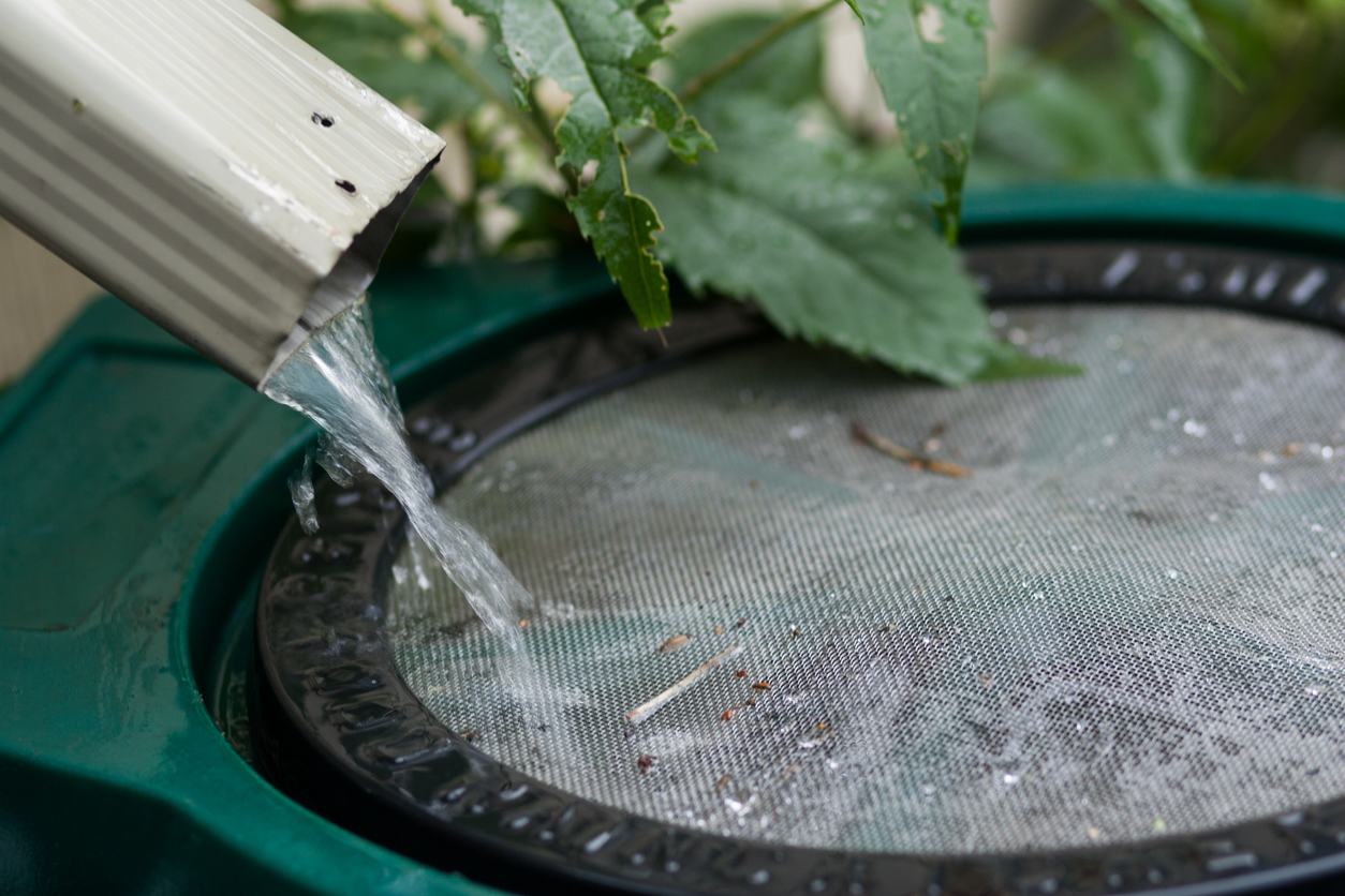 Récupérer l'eau de pluie des gouttières dans un bassin baril récupérateur