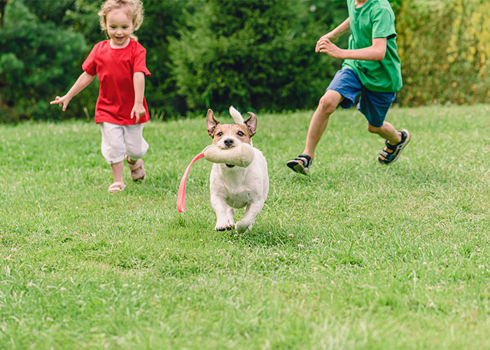 Enfants qui jouent sur la pelouse avec leur petit chien