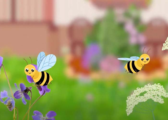 Capsule vidéo qui présente comment diversifier sa pelouse pour nourrir les pollinisateurs au printemps