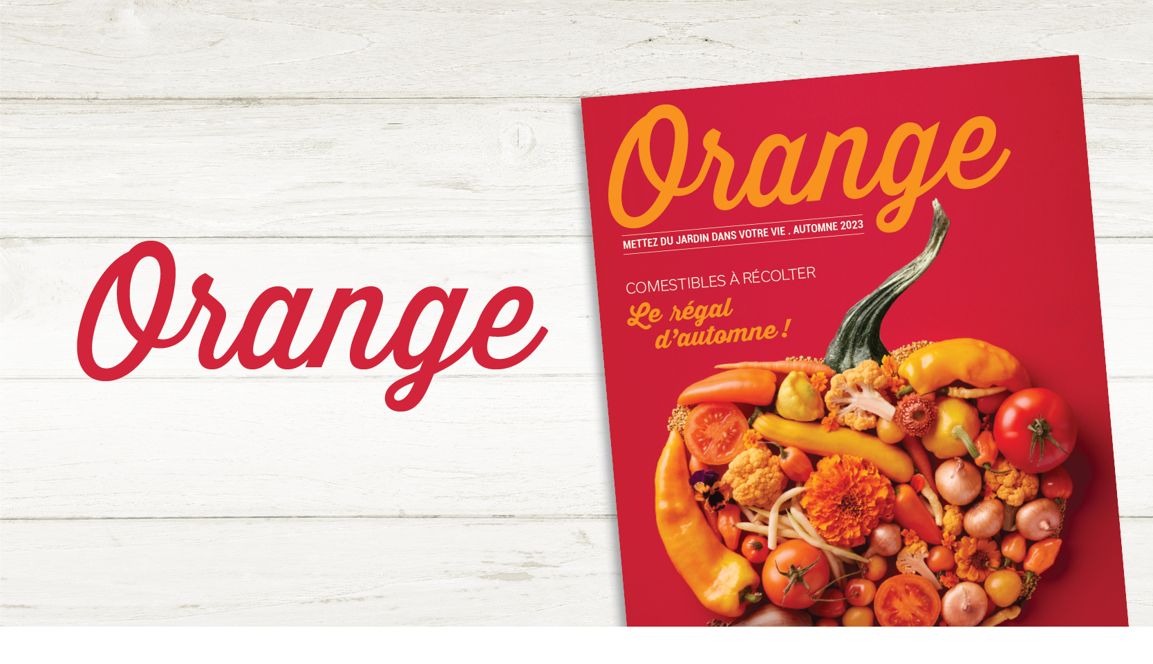 Magazine Orange 2023