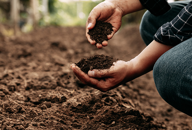Jardinière qui évalue la qualité du sol de son jardin avec une poignée de terre dans sa main
