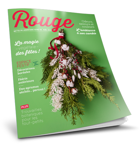 Rouge 2023 cover debout