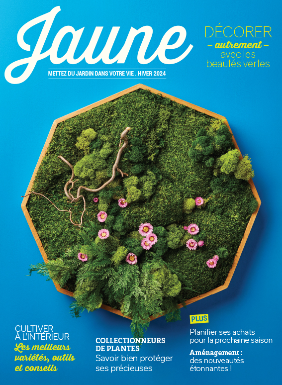 Magazine de jardinage Jaune 2024