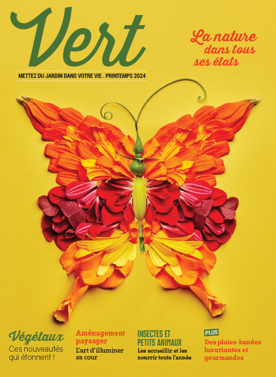 Magazine de jardinage Vert 2024
