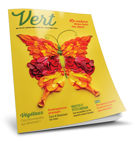 Magazine Vert 2024