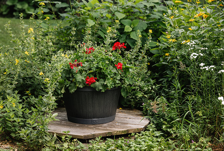 pot à fleurs extérieur pour un décor campagnard