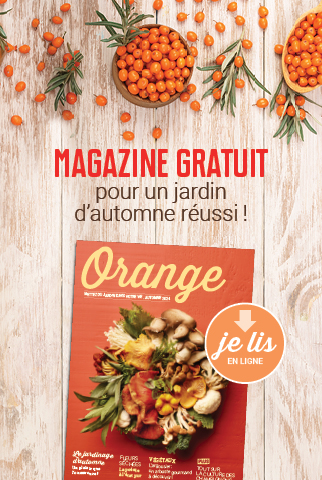 Ilot magazine Orange 2024