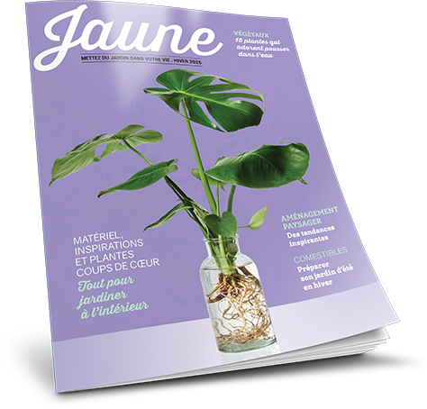 Magazine Jaune 2025 debout