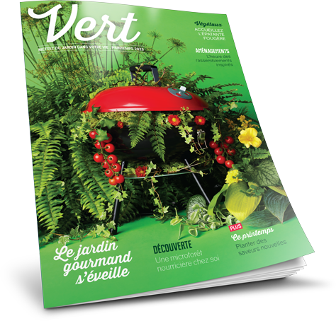 Magazine Vert 2025 debout