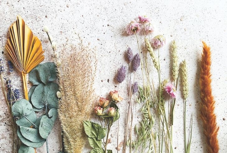 fleurs séchées