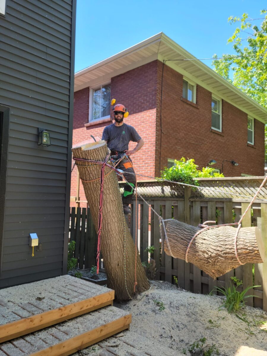 Un arboriculteur de N.G.L. vient d'élaguer un arbre chez un client