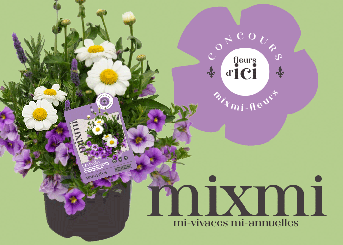 Image d'entête du concours mixmi