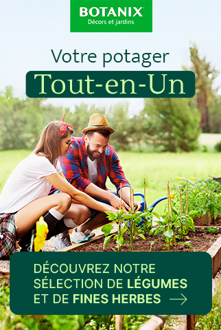 Ilot Botanix du 29 mai au 4 juin 2025