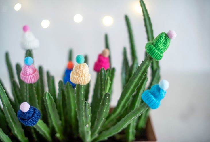 cactus décoré pour noel comme alternative au sapin