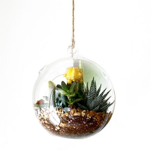 mini terrariums boule de noel 