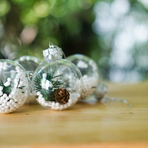 boules de noel transparentes avec plantes