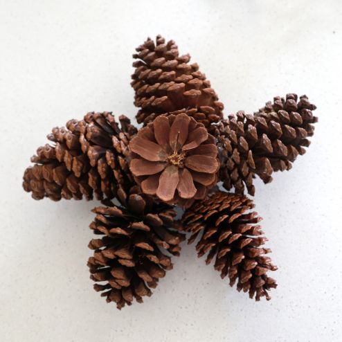 étoile en pomme de pin comme Déco sapin de Noël extérieur