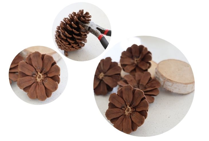 Fleur de pomme de pin comme Déco sapin de Noël extérieur