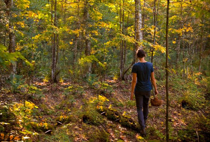 quoi faire en automne