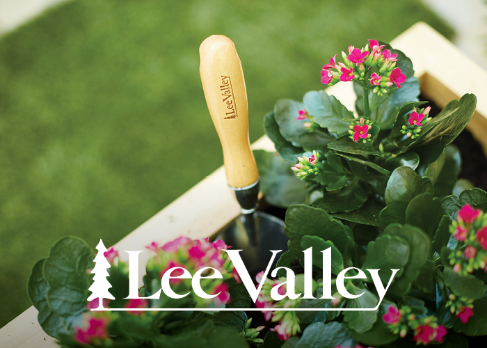Concours Lee Valley 2025