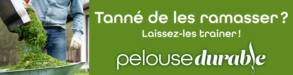 Bannière pelouse durable herbicyclage