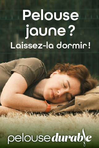 Pub pelouse durable - pelouse jaune
