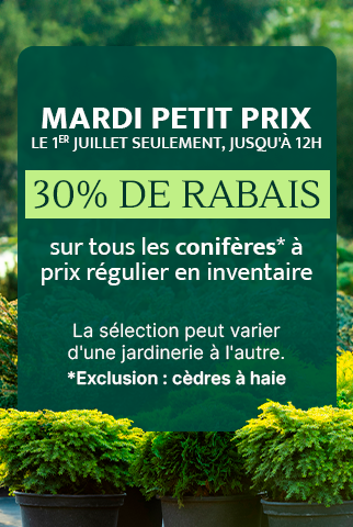 Ilot Botanix - À partir du 26 juin - Mardi