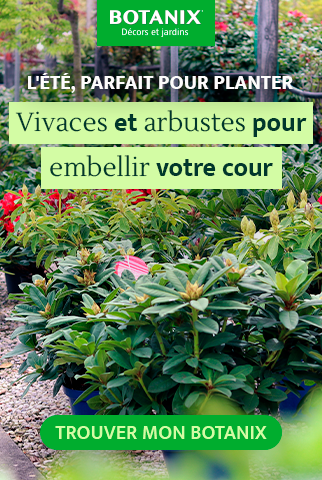Ilot Botanix V2 - Été 2025