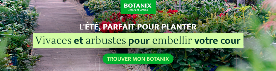 Bannière Botanix V2 - Été 2025