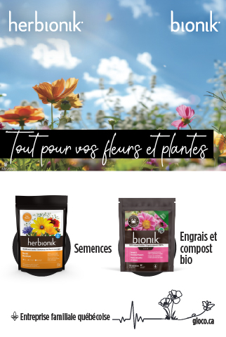 Ilot Gloco concours Du jardin dans ma ville 2025
