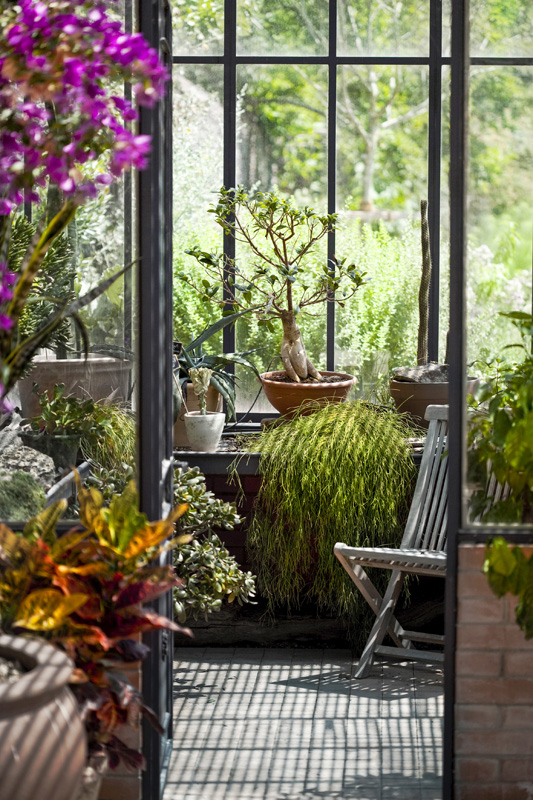 Espace de vie lumineux dans un solarium quatre saisons, entouré de plantes luxuriantes