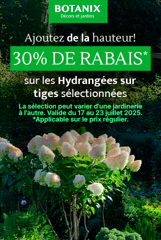 Ilot Botanix - À partir du 17 juillet 2025