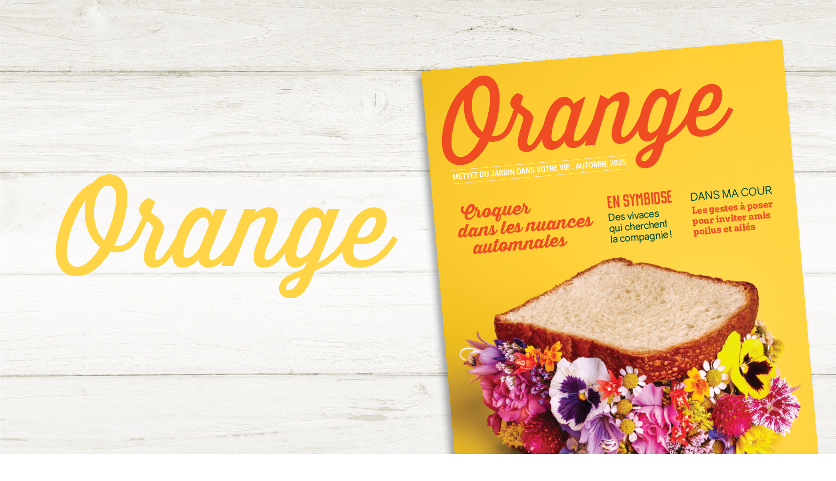 Magazine Orange 2025
