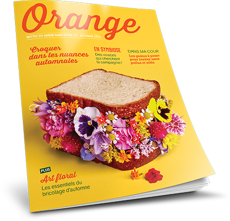 Mockup magazine Orange 2025