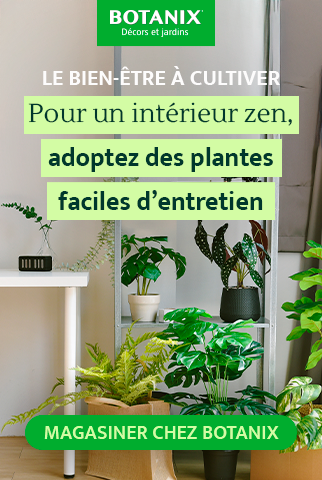 Ilot Botanix octobre 2025