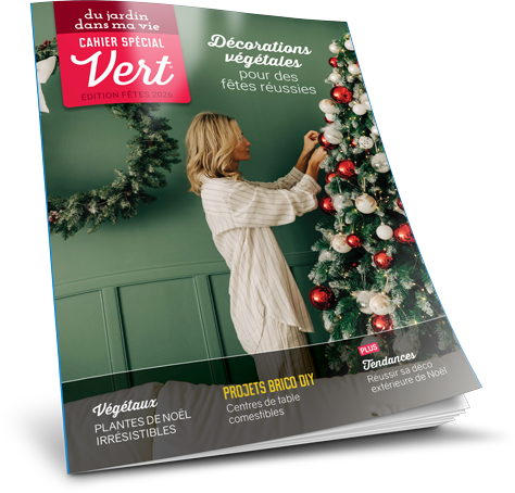 cahier spécial Vert - édition Fêtes 2026