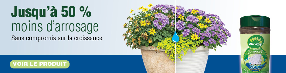 Banniere Sols Isabelle plante hydrogel