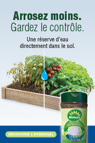 Ilot Sols Isabelle potager hydrogel