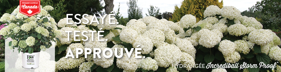 Banniere Proven Winners printemps 2026