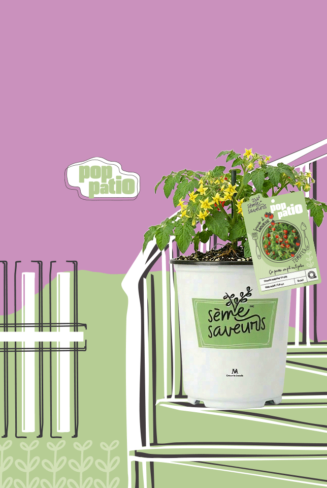 Ilot - Maison fleurs vivaces - Printemps 2026