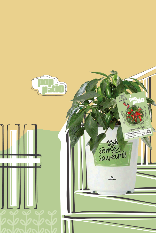 Ilot Maison des fleurs vivaces - Mais 2026