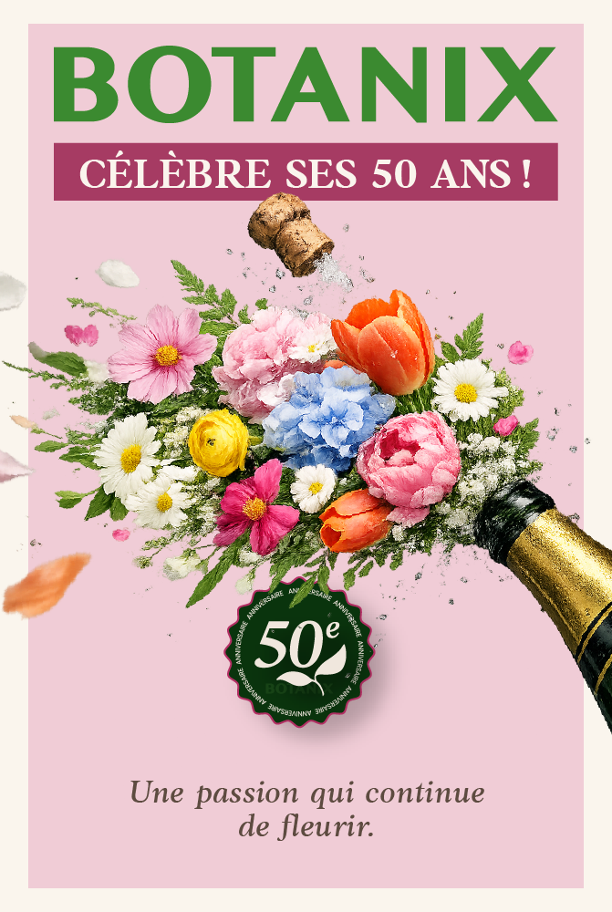 Ilot Botanix - 50e - A partir de mai 2026