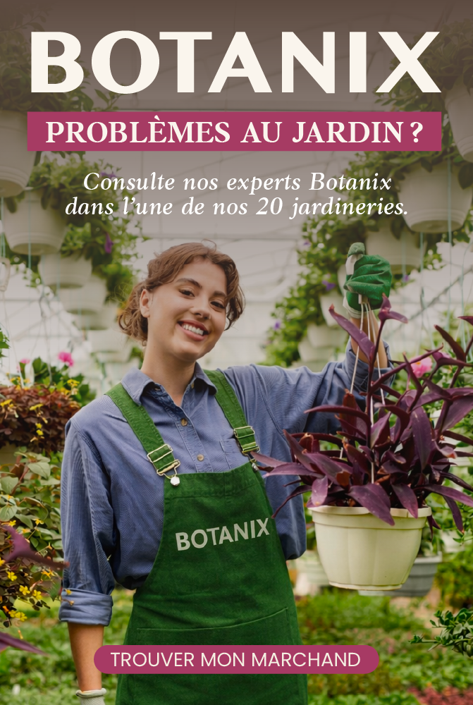 Ilot Botanix - Expert - A partir de mai 2026
