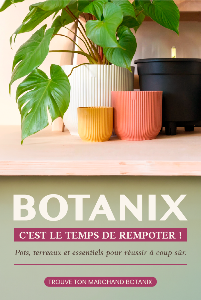 Ilot Botanix avril 2026