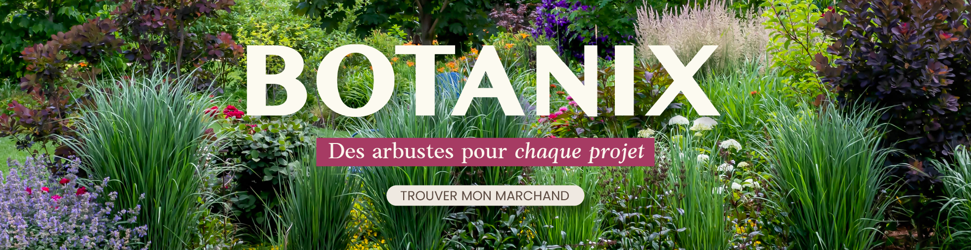 Banniere Botanix à partir du 25 juin 2026 - arbuste